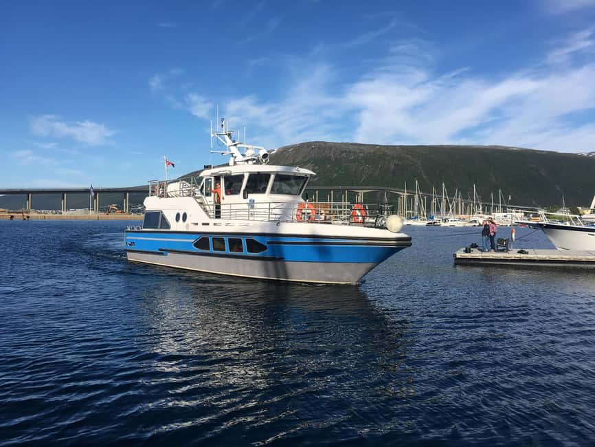 Tromsø: Midnight Sightseeing Cruise All-inclusive - Midnight Sun at Sea: Why This Tromsø Cruise Works