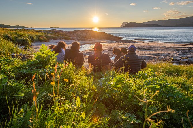 Tromsø: Midnight Sun with Campfire with Wandering Owl - Midnight Sun by Campfire, Without the Crowds