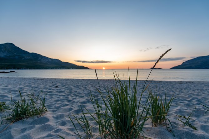 Tromsø: Midnight Sun with Campfire with Wandering Owl - Why the Small Group Matters More Than You Think
