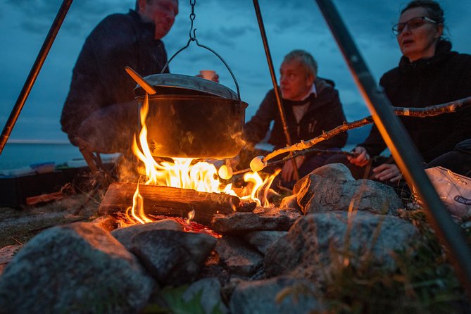 Tromsø: Midnight Sun with Campfire with Wandering Owl - Price and Value: What $150.07 Really Buys