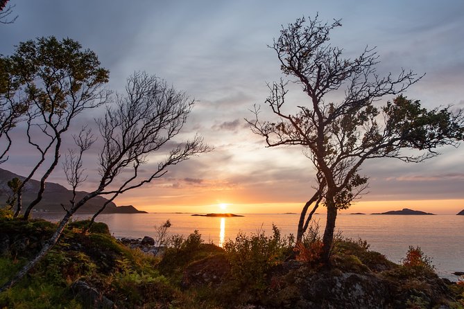 Tromsø: Midnight Sun with Campfire with Wandering Owl - Who This Tour Fits Best