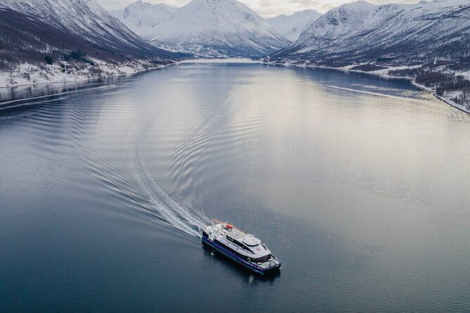 Tromsø, Northern Lights and Wilderness Evening Catamaran Cruise - Gear and comfort tips for a long night under cold skies