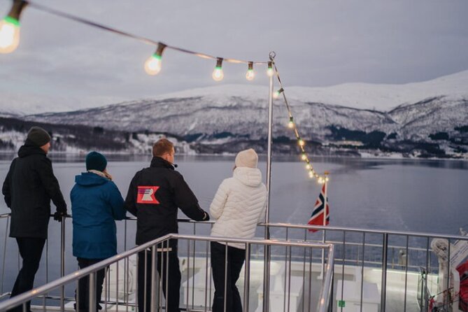 Tromsø, Northern Lights and Wilderness Evening Catamaran Cruise - Who this cruise fits best, and who should skip it