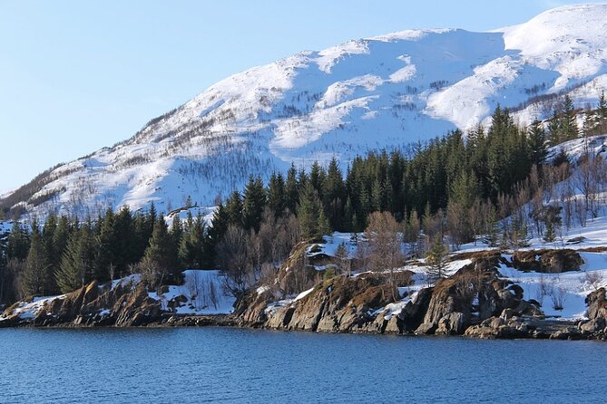 Tromsø, Northern Lights and Wilderness Evening Catamaran Cruise - Getting on MS Rygerdronningen: warm cabin, panoramic windows, deck time