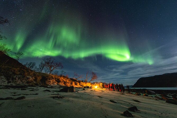 Tromsø: Northern Lights by Minibus - Free Photos and Warm Dinner - Key takeaways