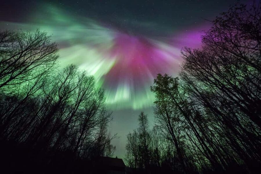 Tromsø: Northern Lights Chase + Free Professional Photos - Free professional photos: what you get and what to bring
