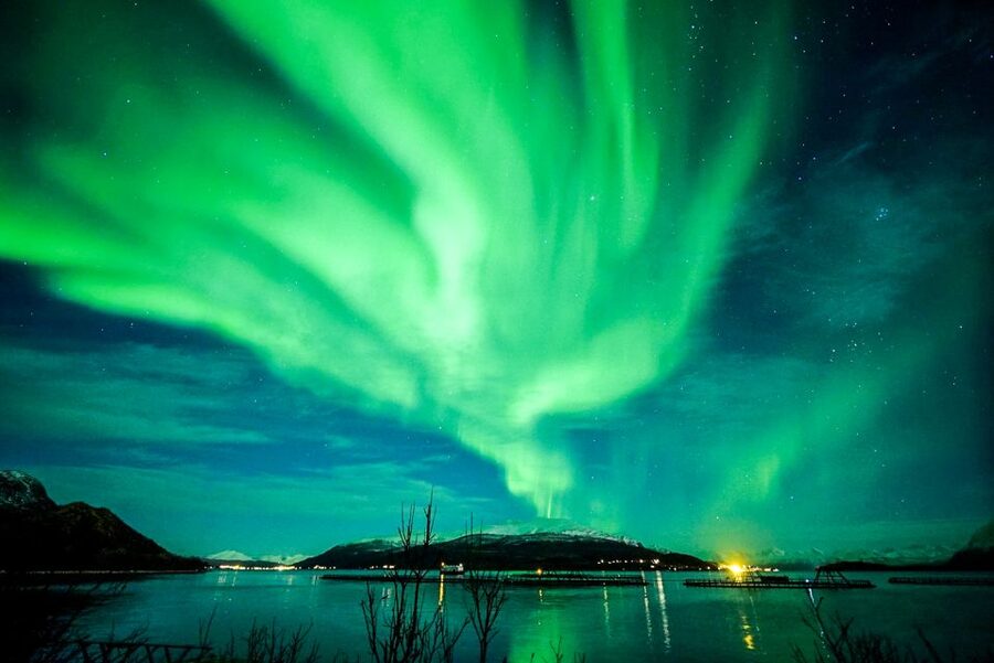 Tromsø: Northern Lights Chase Minibus Tour - Price, ratings, and value for a 7 hour Northern Lights night