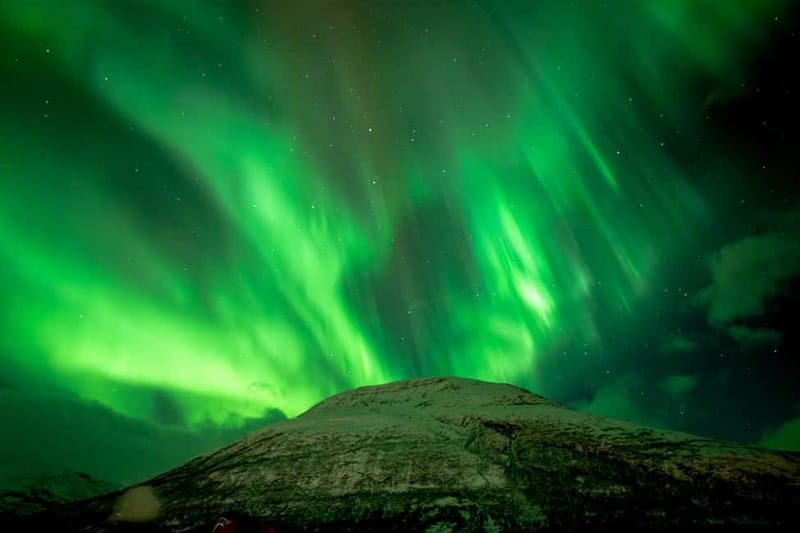 Tromsø: Northern Lights Focus Tour, German/English, minibus, meal - Campfire Dinner in the Wilderness, Comfort That Helps You Stay Focused