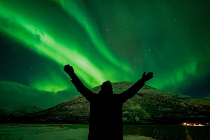 Tromsø: Northern Lights Focus Tour, German/English, minibus, meal - How the Guides Pick Locations When Weather Changes Behind Every Fjord