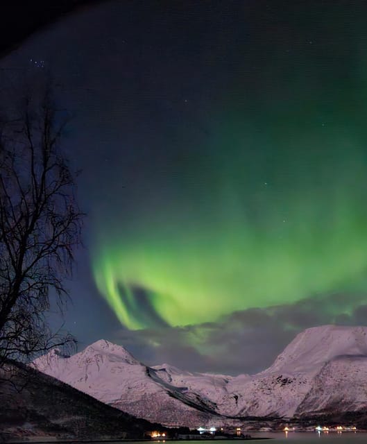 Tromsø: Northern Lights Hunt. Local Guide and Basecamp. - The Troms County stop: coffee, a guided break, and winter scenery