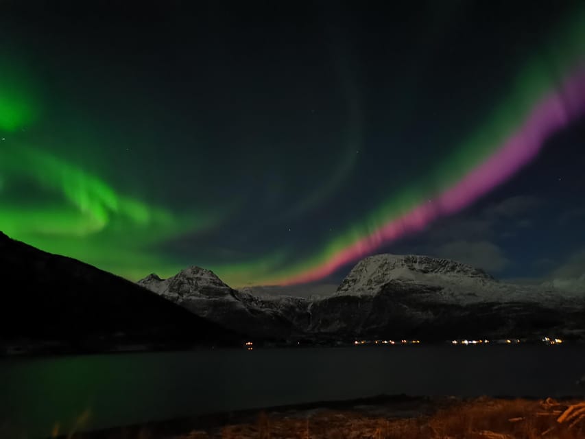 Tromsø: Northern Lights Hunt. Local Guide and Basecamp. - Dressing for the cold: how to not ruin your aurora night