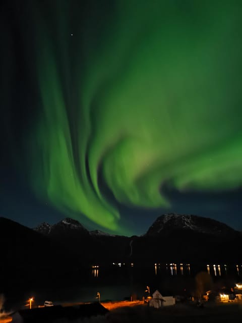 Tromsø: Northern Lights Hunt. Local Guide and Basecamp. - Price and value: is $199 worth it?