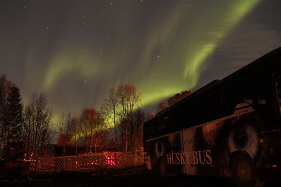 Tromsø: Northern Lights Husky Visit with Traditional Dinner - Northern Lights odds: how you maximize your chance without stress