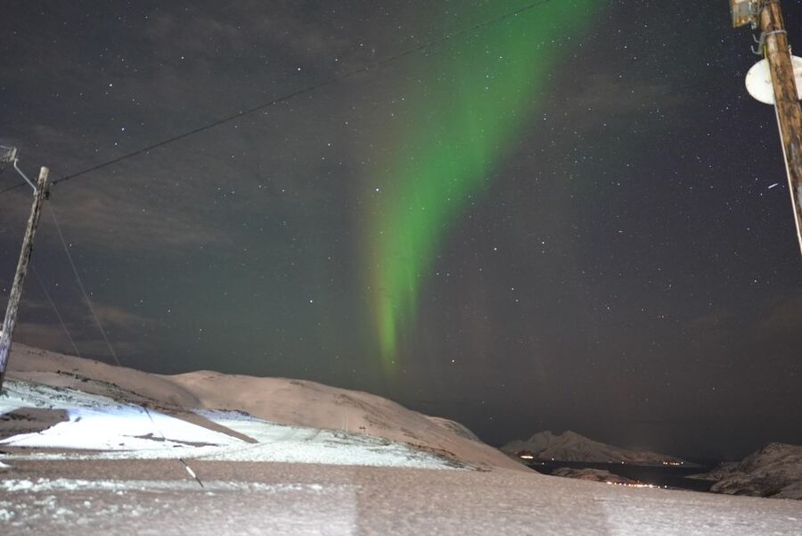 Tromsø: Northern Lights Minibus Small Private Tour Group - The Chance of Wildlife and Fjord Views, Even When the Aurora Is Late