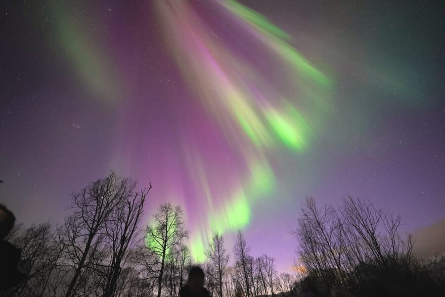 Tromso: Northern Lights Minibus Tour with Campfire - Key Highlights You Can Count On