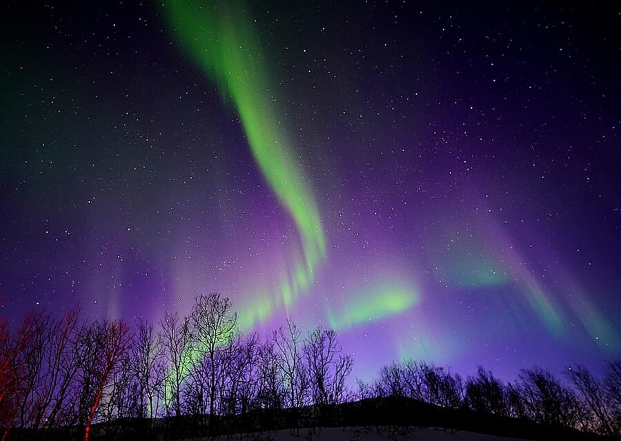 Tromso: Northern Lights Minibus Tour with Campfire - How the Aurora Hunt Really Works From Tromsø