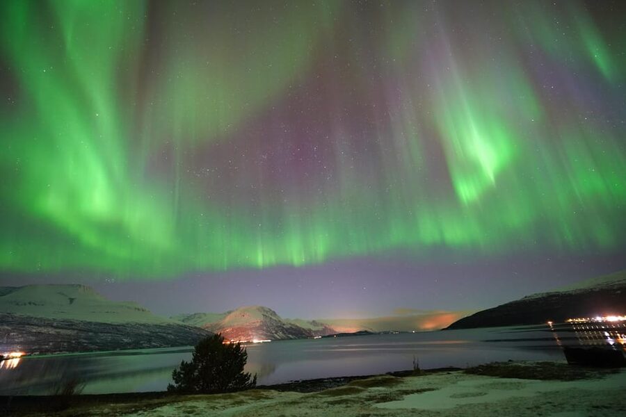 Tromso: Northern Lights Minibus Tour with Campfire - What the Warm Campfire Setup Adds to the Night