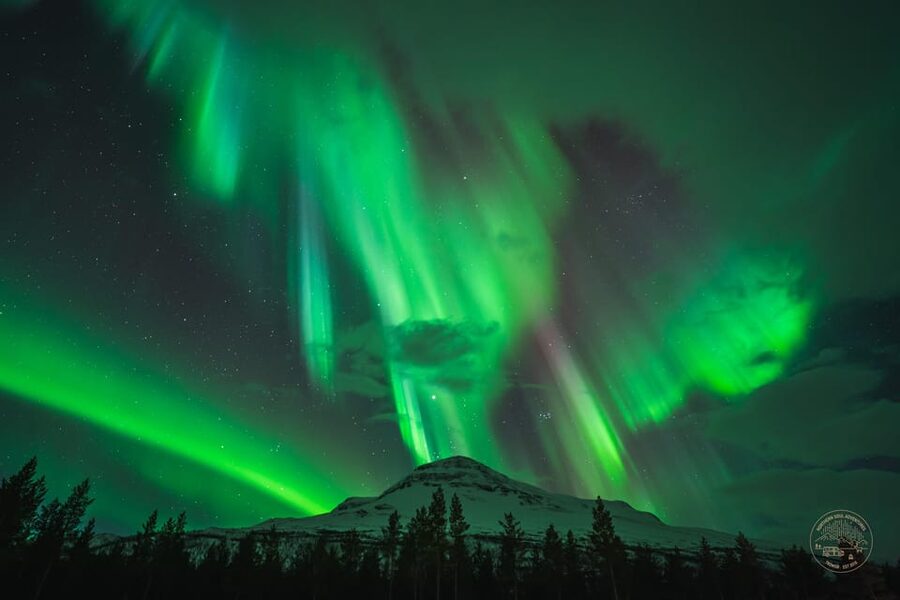 Tromsø: Northern Lights Photography Small-Group Tour - The 4x4 Hunt: From Tromsø Coastal Roads to Finland When Needed