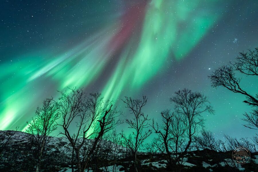 Tromsø: Northern Lights Photography Small-Group Tour - Campsite Setup: Why the Waiting Part Feels Like Part of the Trip