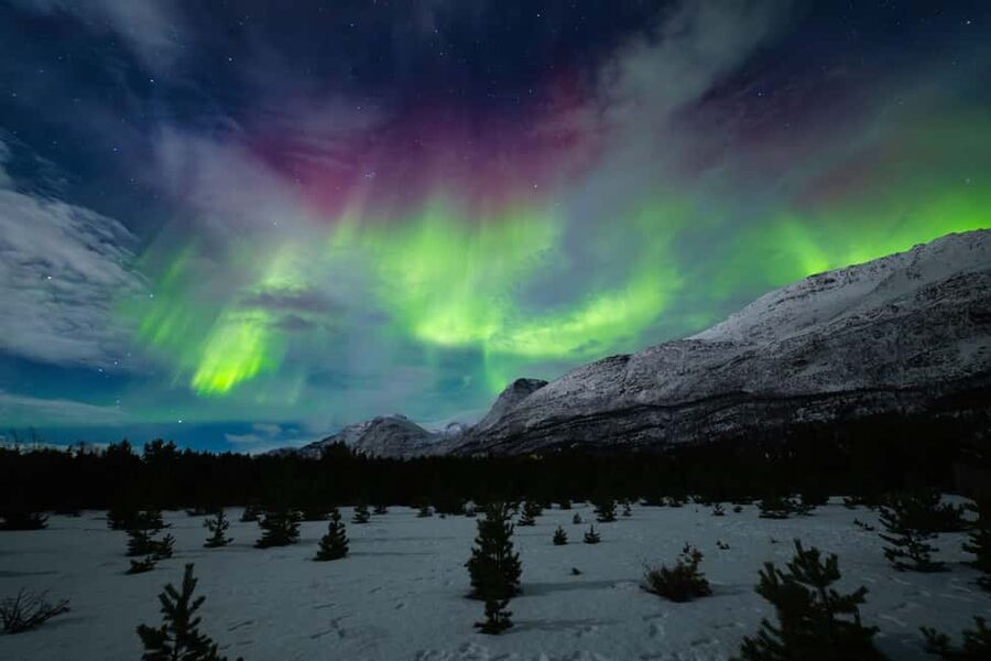 Tromsø: Northern Lights Photography Tour - What It Feels Like When You Camp and Wait for the Sky