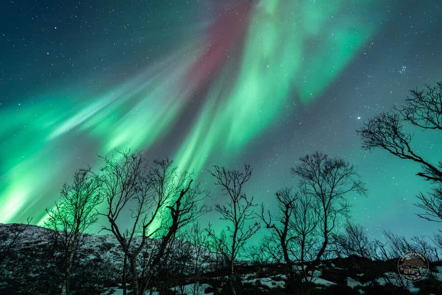 Tromsø: Northern Lights Photography Tour - Where You Stand on a Night Like This: Seeing vs Photographing