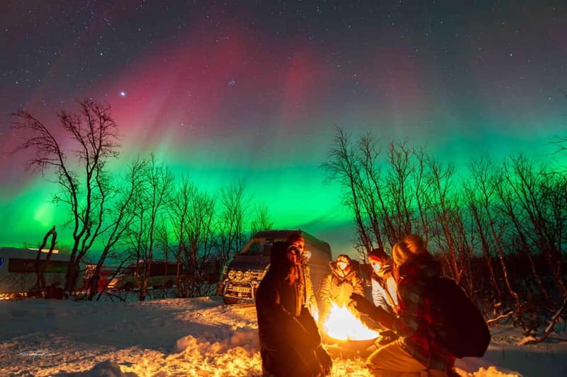 Tromsø: Northern Lights Safari - Price of $146 and what you really get for your money