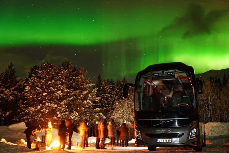 Tromsø: Northern Lights Safari - Who should book this safari in Tromsø, and who might want a different plan