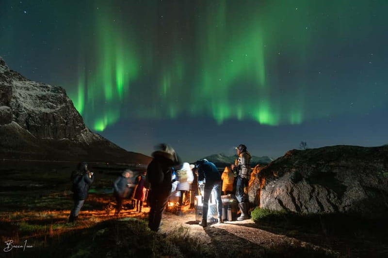 Tromsø: Northern Lights Safari - Comfort, bus timing, and multilingual guides who explain the aurora