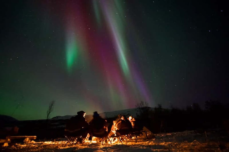Tromsø: Northern Lights Tour - Key moments that make this tour worth your time