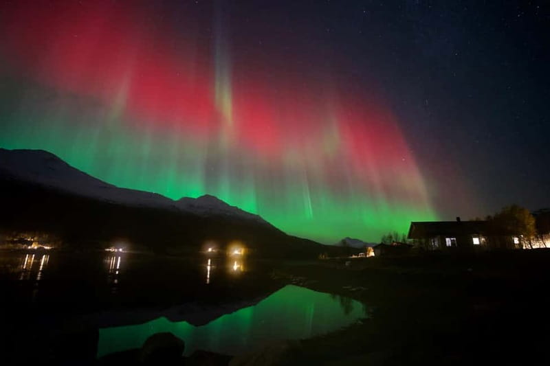 Tromsø: Northern Lights Tour - Tromsø Northern Lights, but make it practical