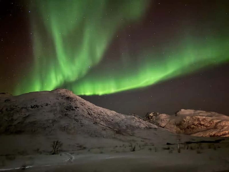 Tromsø: Northern Lights Tour - The “hunt” part: guided stops, sky checks, and photo planning
