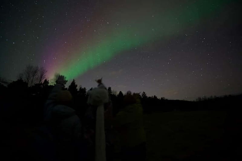 Tromsø: Northern Lights Tour - What the Arctic scenery adds to the aurora night