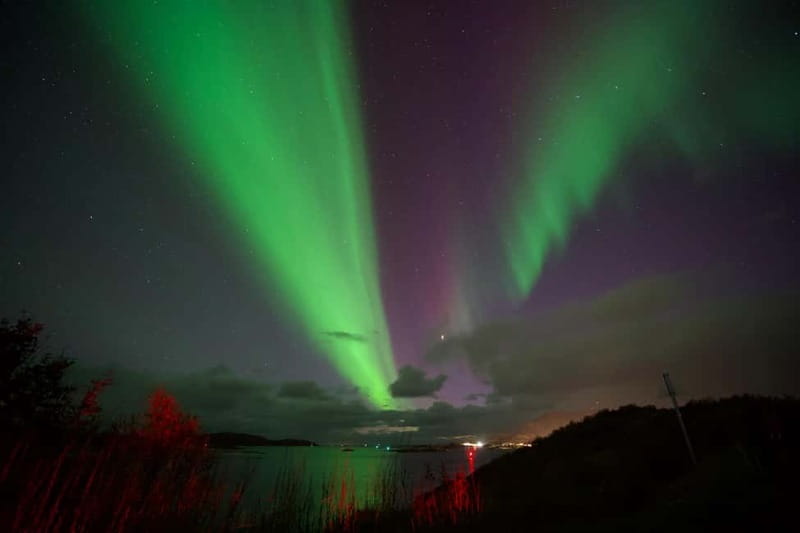 Tromsø: Northern Lights Tour - The camera and tripod setup, minus the stress