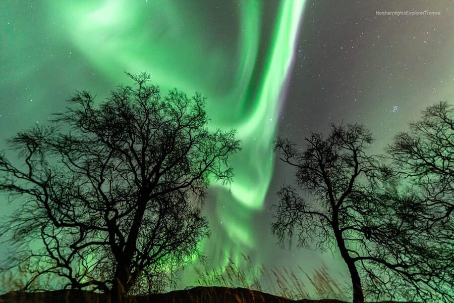 Tromsø: Northern Lights Tour w/Photo, Suits and Local Guide - Chasing the Lights Outside Tromsø, Including Possible Finland Border Runs