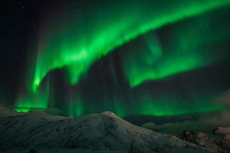 Tromsø: Northern Lights Tour with Guaranteed Sightings - Should you book this Tromsø Northern Lights tour?