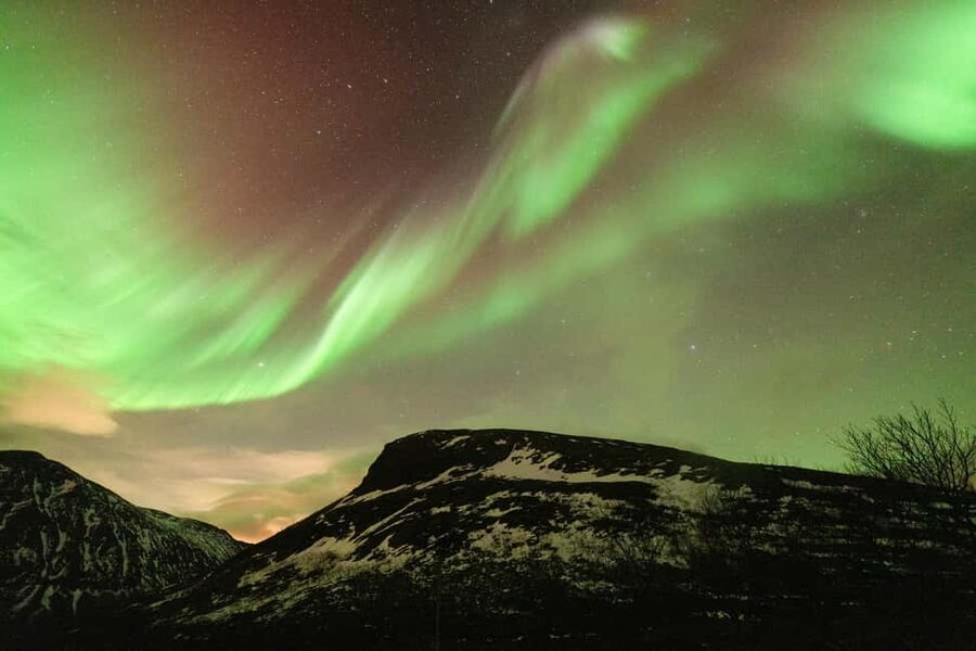 Tromsø: Northern Lights tour with local experts - Price and value: why $195 can make sense here