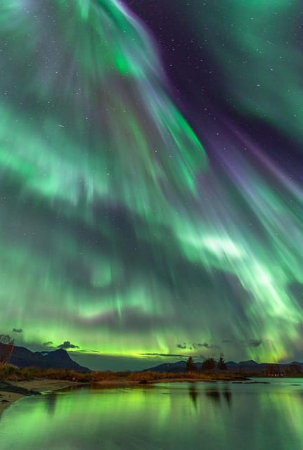 Tromsø: Northern Lights Tour with Local Guide and Photos - Key things that make this tour work