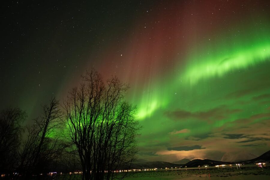Tromsø: Northern Lights Tour with Local Guide and Photos - Aurora portraits that feel like more than point-and-shoot