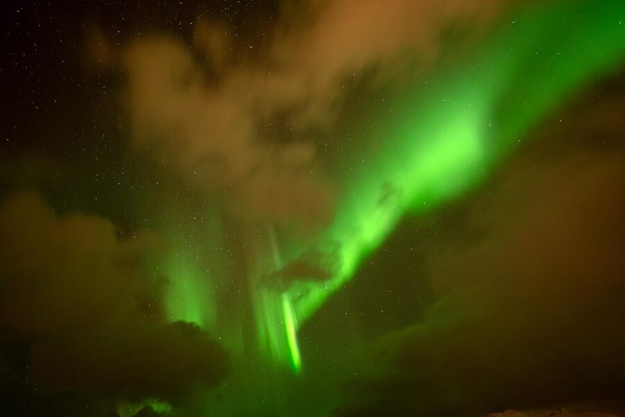 Tromsø: Northern Lights Tour with Local Guide and Photos - Price and value: what $162 buys you in the real Arctic