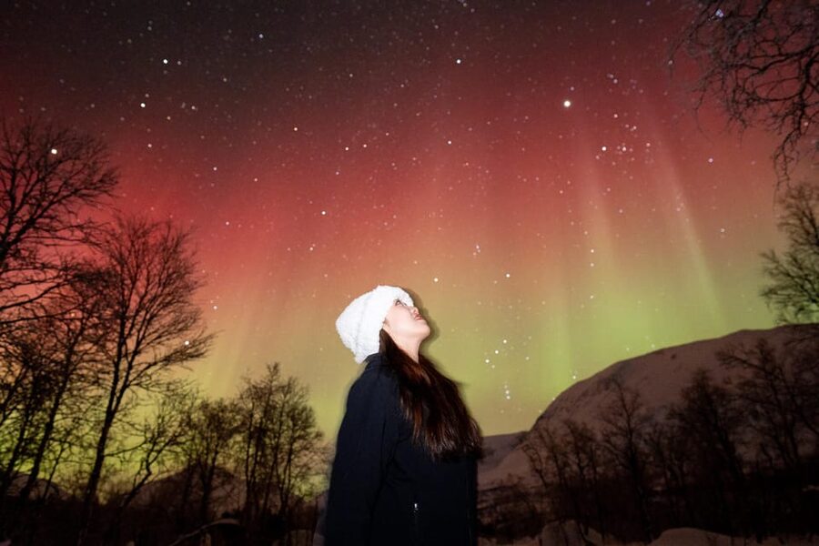 Tromsø: Northern Lights Tour with Local Guide and Photos - Who this tour suits best