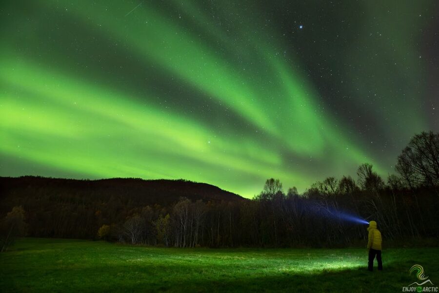 Tromsø: Northern Lights Trip with Campfire and Snacks - Key things I’d watch for before you go