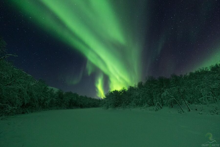 Tromsø: Northern Lights Trip with Campfire and Snacks - Aurora photography tutoring: tripods, settings, and what to do when it appears