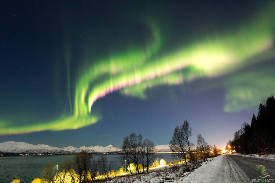 Tromsø: Northern Lights Trip with Campfire and Snacks - When to book and how to boost your odds
