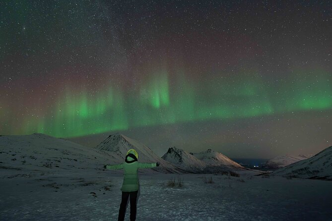 Tromsø Northern Lights with Campfire and Professional Photos - Campfire, Chai, and Reindeer Sausages: The Pause That Helps
