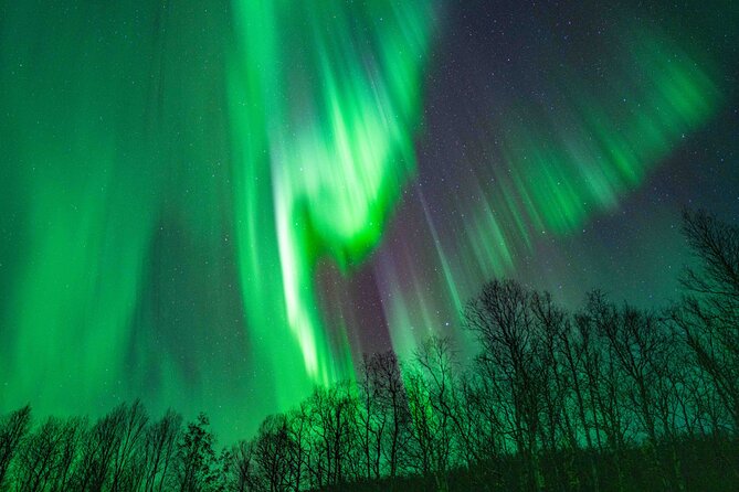 Tromsø Northern Lights with Campfire and Professional Photos - Small-Group Logistics: Why Max 12 Changes Everything