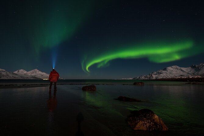 Tromsø Norway - Small Group Aurora Hunt Tour with a local guide - Tromsø at Night, When the Sky Gets Serious