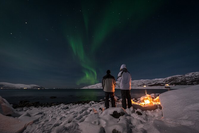 Tromsø Norway - Small Group Aurora Hunt Tour with a local guide - The Coastal Search, Where the Sea Stays Open