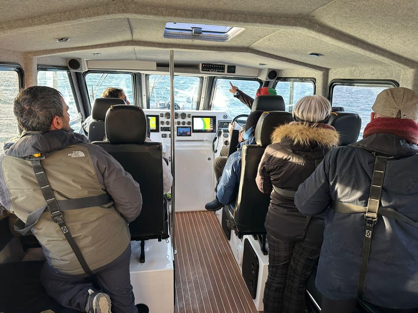 Tromsø: Orca and Whale Watching comfort heated boat Trip - Who’s on the helm: Captain Jacob plus photo coaching from Philip