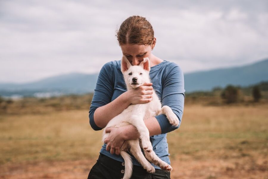 Tromsø: Puppy Training at the Husky Kennel with Lunch - Key points to know before you go