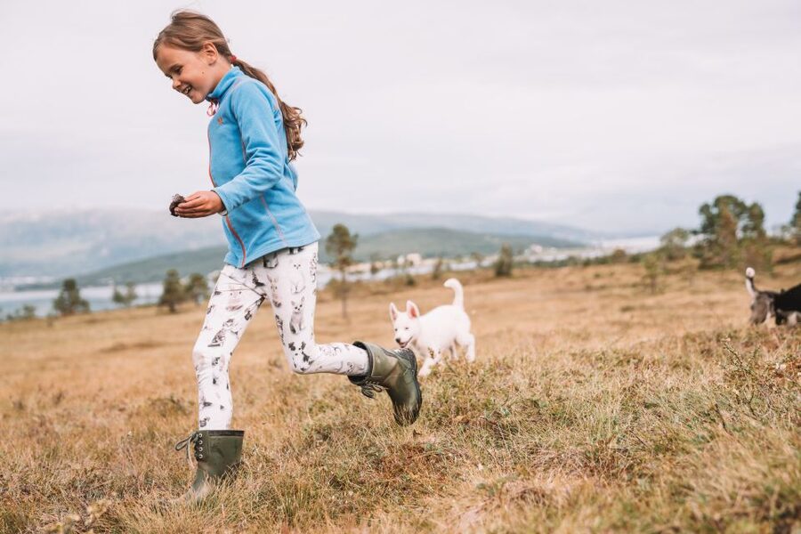 Tromsø: Puppy Training at the Husky Kennel with Lunch - Price value: what $172 buys you and who should go